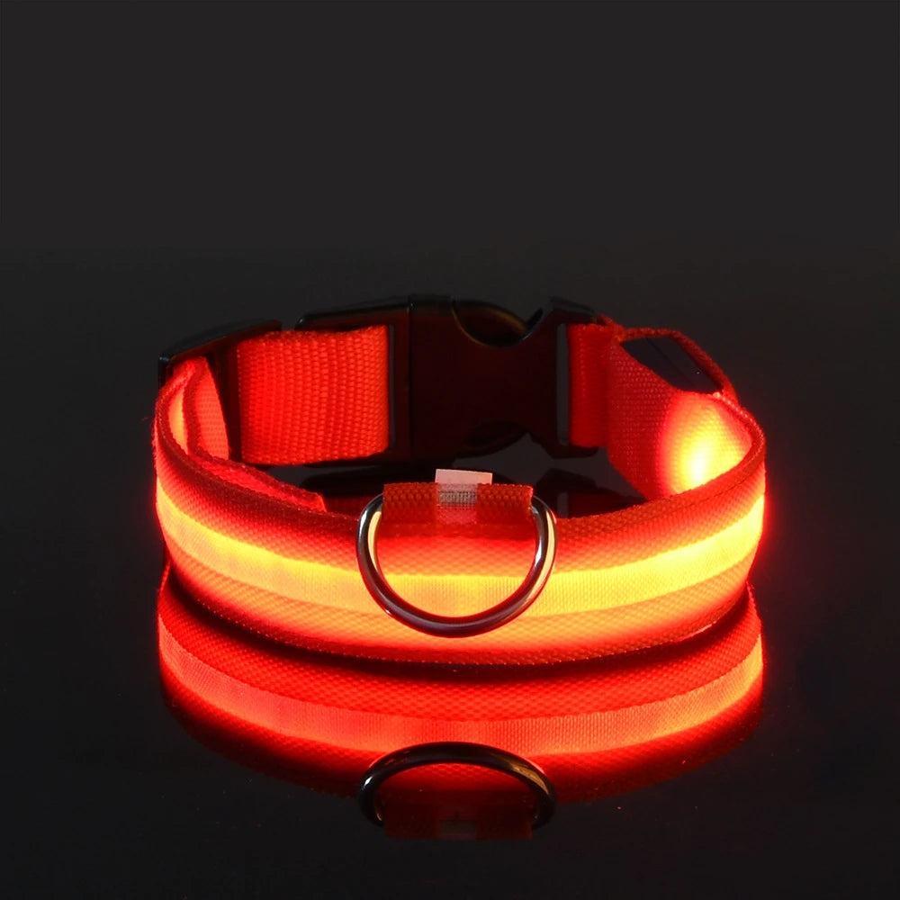 LED Nylon Dog Leash – Glow-in-the-Dark Flashing Night Safety Leash for Dogs