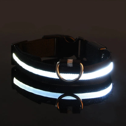 LED Nylon Dog Leash – Glow-in-the-Dark Flashing Night Safety Leash for Dogs