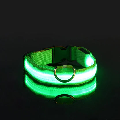 LED Nylon Dog Leash – Glow-in-the-Dark Flashing Night Safety Leash for Dogs
