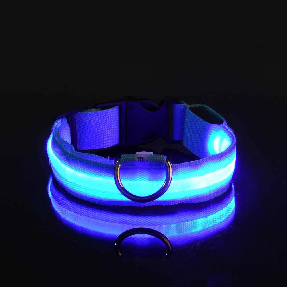 LED Nylon Dog Leash – Glow-in-the-Dark Flashing Night Safety Leash for Dogs