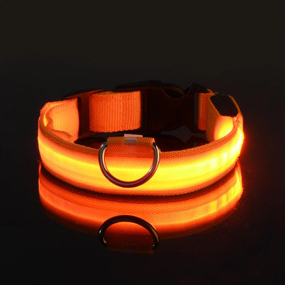 LED Nylon Dog Leash – Glow-in-the-Dark Flashing Night Safety Leash for Dogs