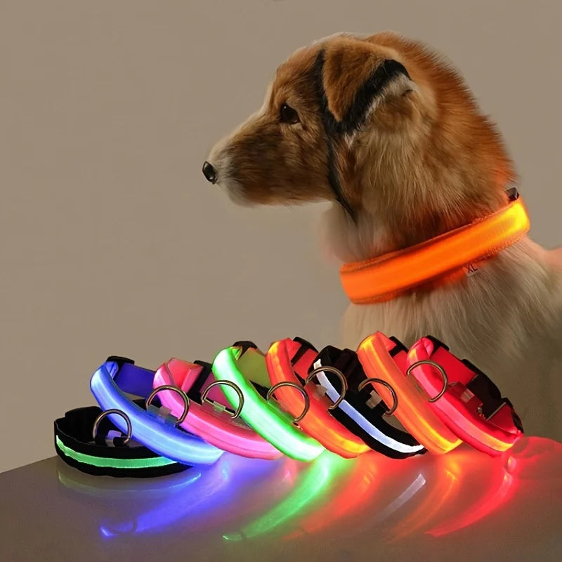 LED Nylon Dog Leash – Glow-in-the-Dark Flashing Night Safety Leash for Dogs