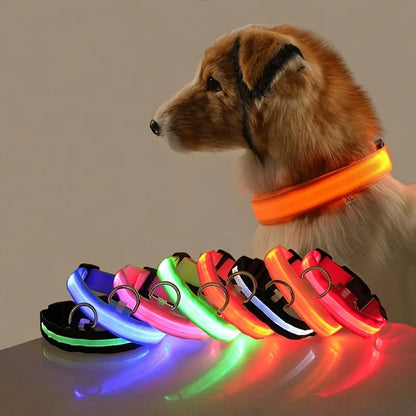 LED Nylon Dog Leash – Glow-in-the-Dark Flashing Night Safety Leash for Dogs
