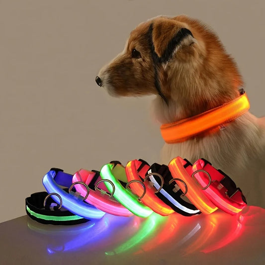 LED Nylon Dog Leash – Glow-in-the-Dark Flashing Night Safety Leash for Dogs