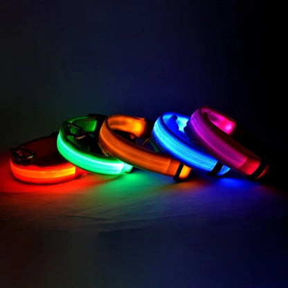 LED Nylon Dog Leash – Glow-in-the-Dark Flashing Night Safety Leash for Dogs