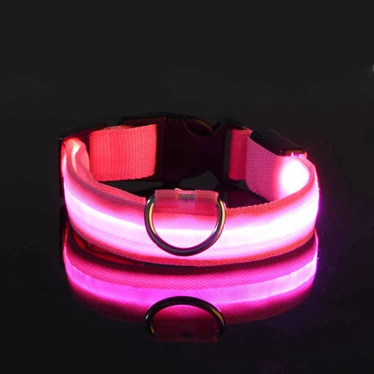 LED Nylon Dog Leash – Glow-in-the-Dark Flashing Night Safety Leash for Dogs