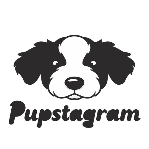Pupstagram